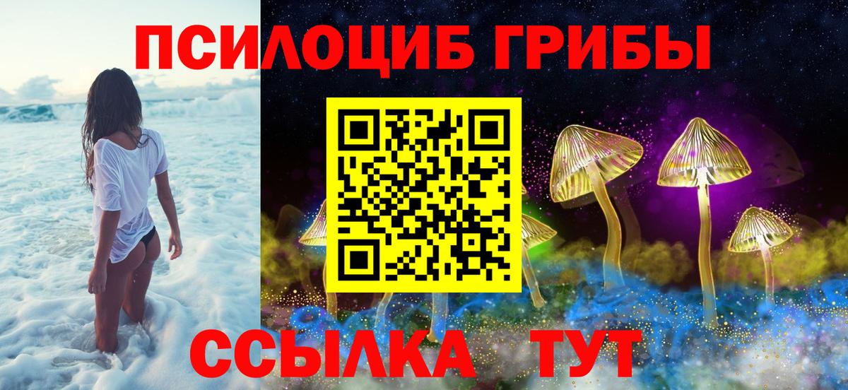 Алексин  Галлюциногенные грибы MAGIC MUSHROOMS  Вход с VPN  Галлюциногенные грибы GOLDEN TEACHER 